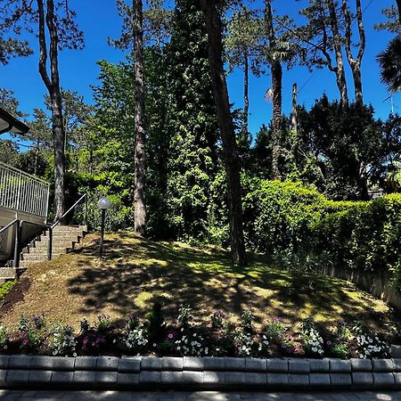 Villa Greif Pineta Λινιάνο Σαμπιαντόρο Εξωτερικό φωτογραφία