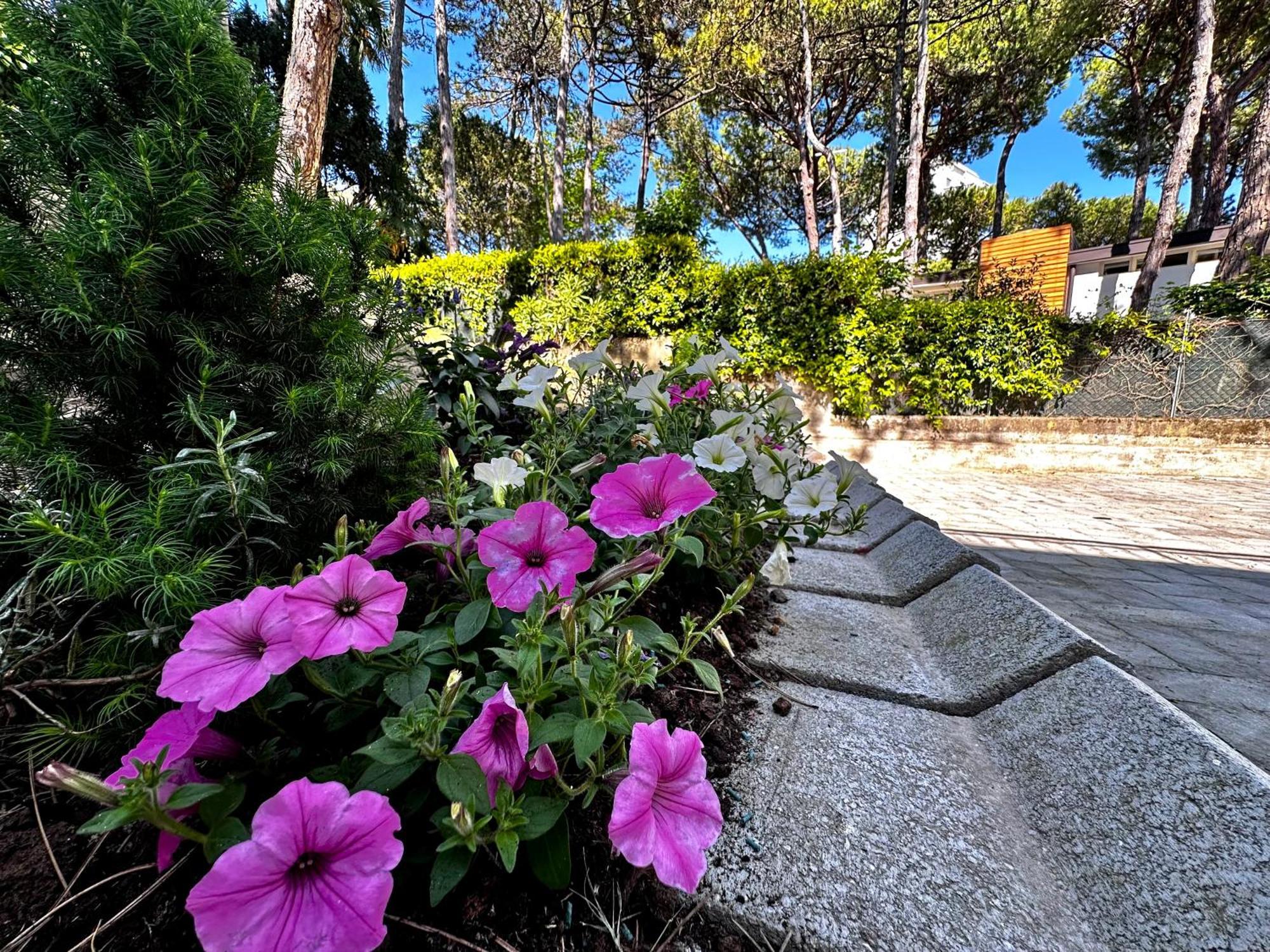 Villa Greif Pineta Λινιάνο Σαμπιαντόρο Εξωτερικό φωτογραφία