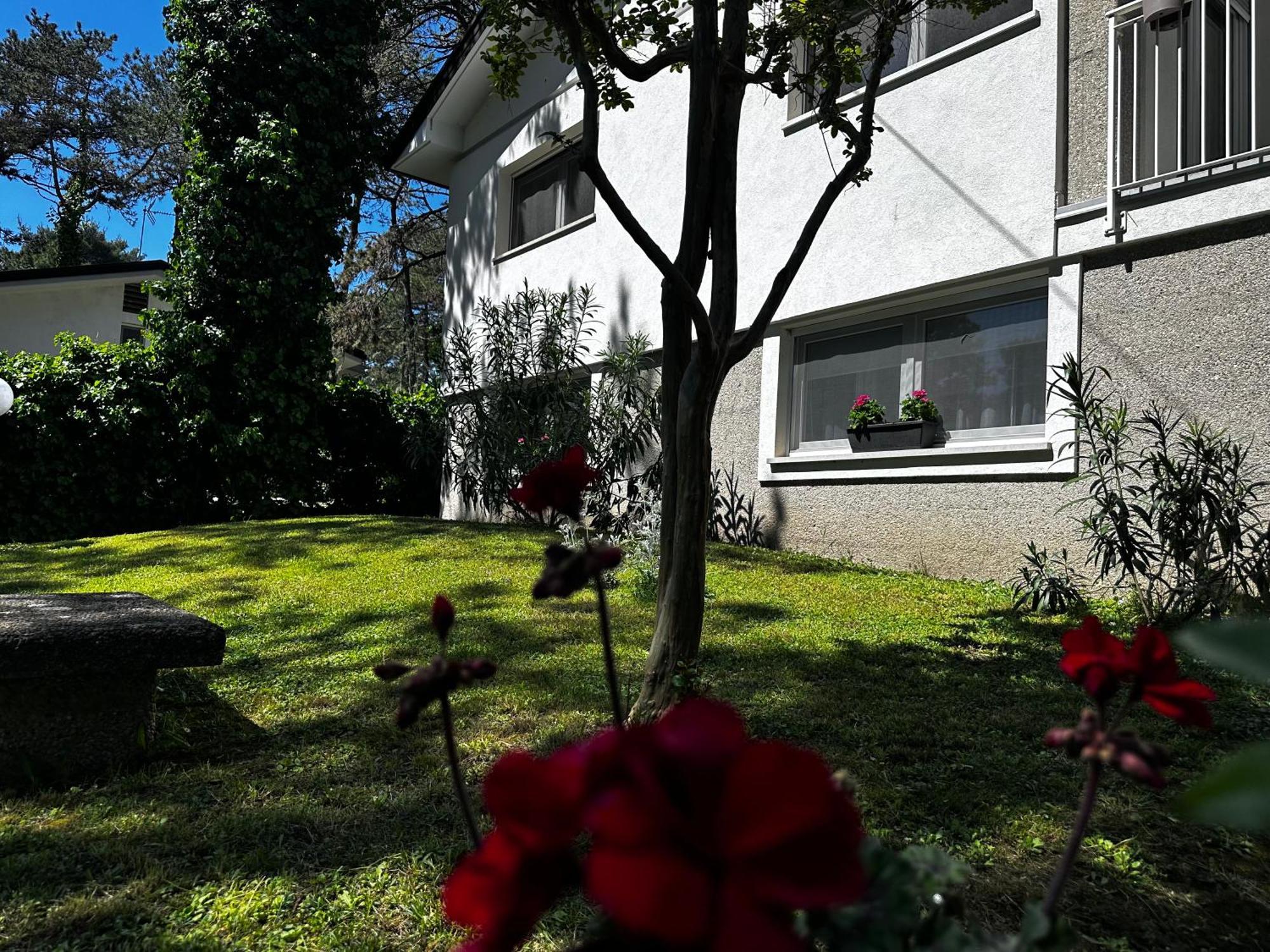 Villa Greif Pineta Λινιάνο Σαμπιαντόρο Εξωτερικό φωτογραφία